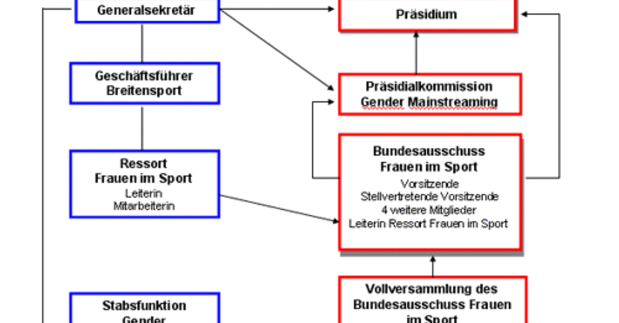 Struktur-Übersicht der "Frauen im Sport" (Organigramm: DSB)